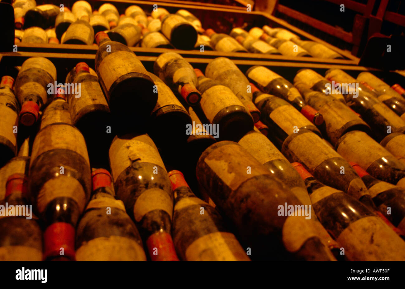 Bottiglie di vino in cantina Foto Stock