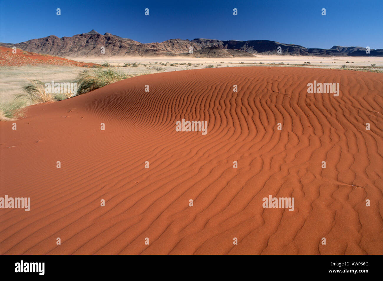 Red dune di sabbia con le montagne sullo sfondo, Namib-Naukluft National Park, Namibia, Africa Foto Stock