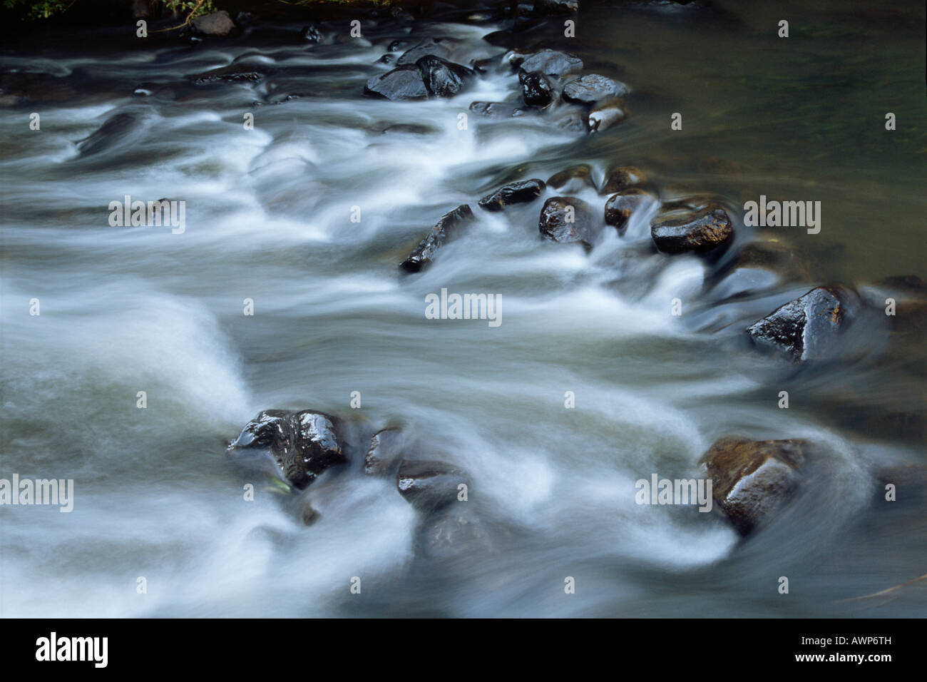 River rapids, Otway National Park, Victoria, Australia, Oceania Foto Stock