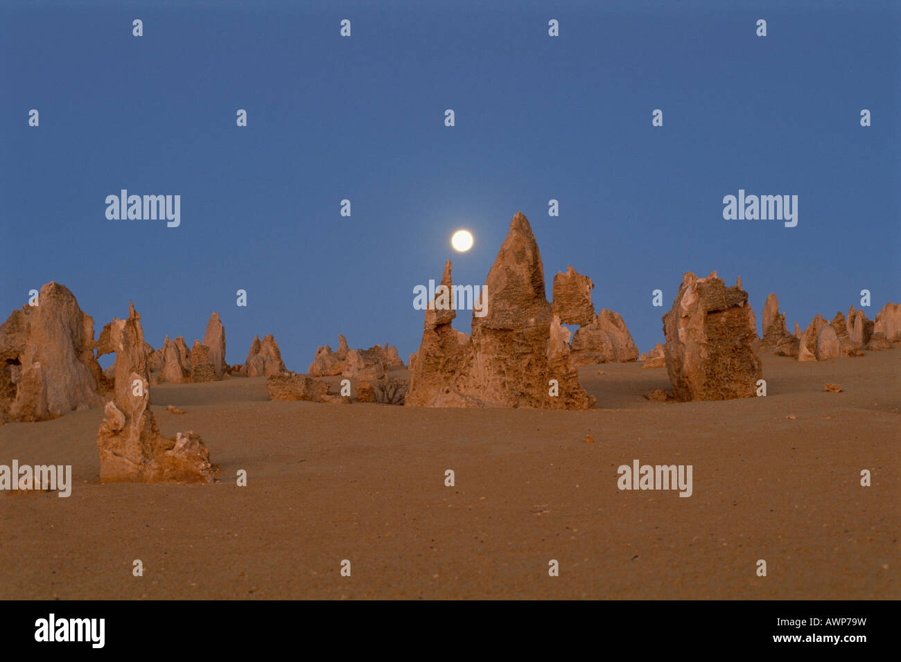 Luna piena sopra il Deserto dei Pinnacoli, Namburg National Park, Australia occidentale, Australia, Oceania Foto Stock