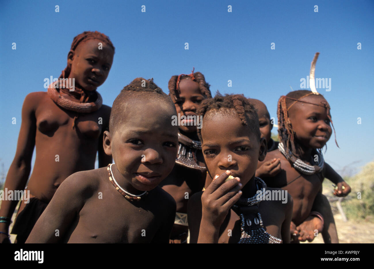 Bambini Himba, Kaokoveld, Namibia Foto Stock