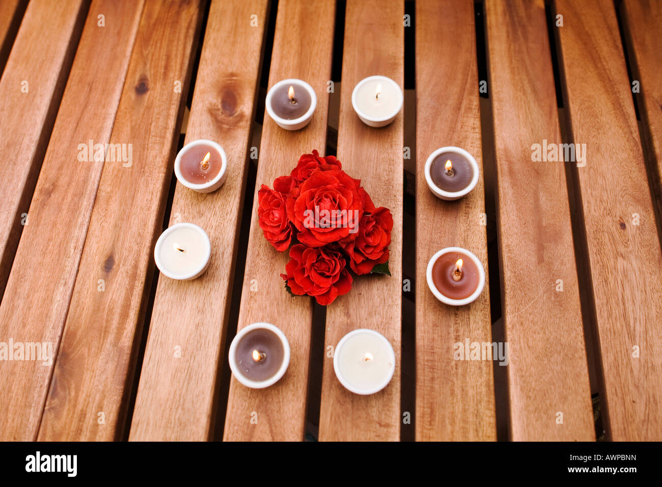 Le Rose circondata da candele da tè Foto Stock
