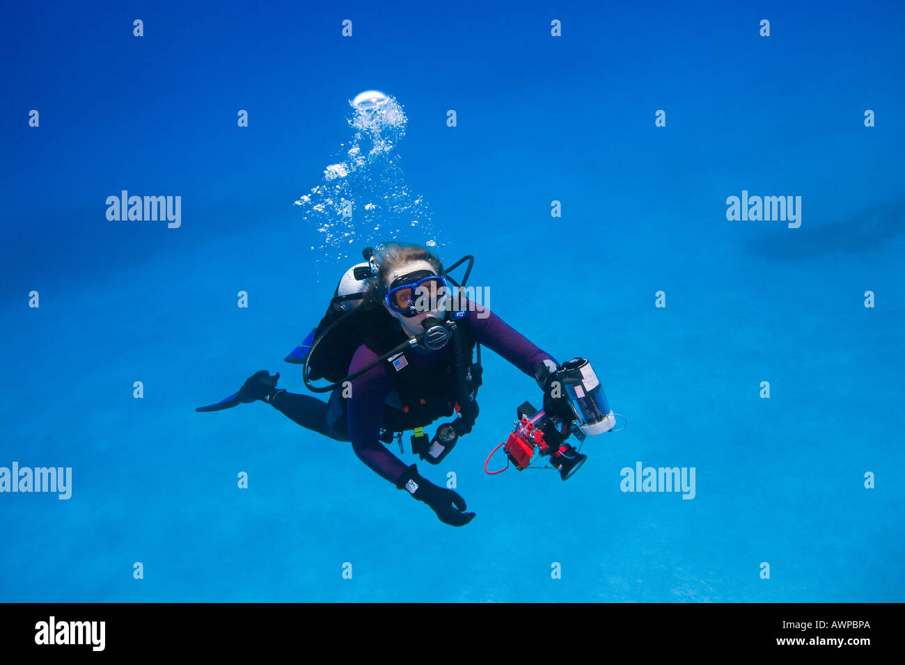 Donna subacqueo con subacquea fotocamera digitale, West End, Grand Bahama, Bahamas, Oceano Atlantico Foto Stock