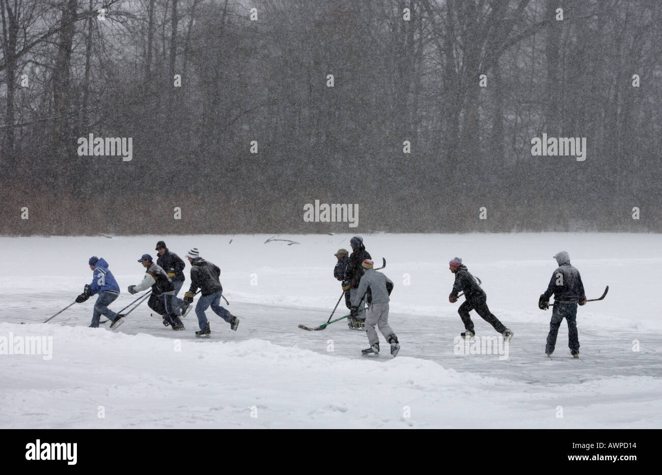 Ragazzi giocare ad hockey su uno stagno Foto Stock