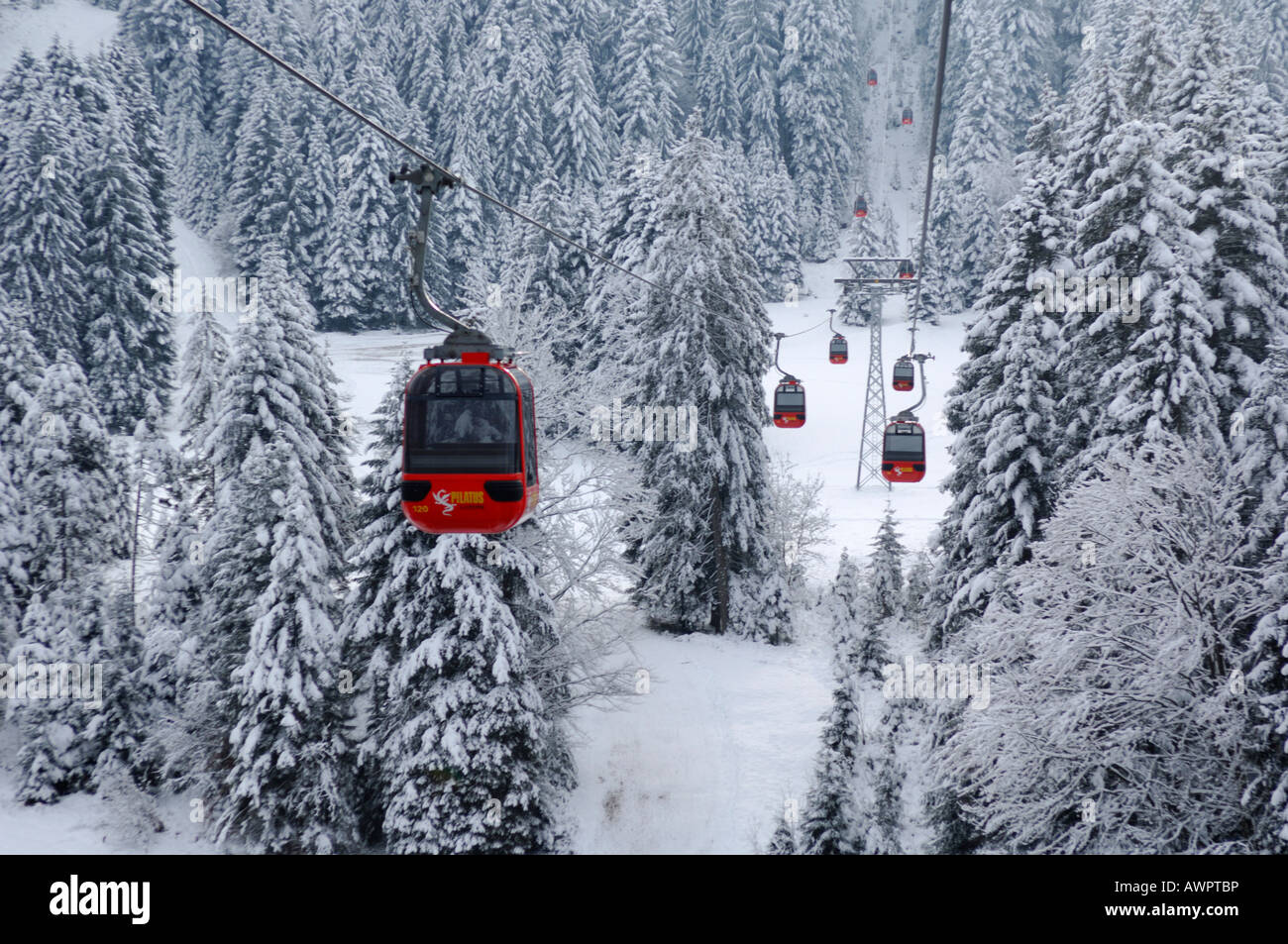 Funivia Gondola passando attraverso invernale bosco di abete rosso, andando dall'Krienseregg fino al Fraekmuentegg, Lucerna, Svizzera Foto Stock