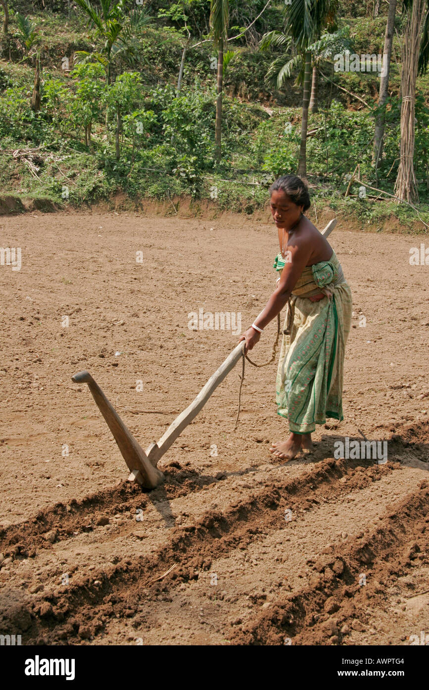 BANGLADESH agricoltore di Koch minoranze tribali preparare un campo per la piantagione manioca Foto Stock