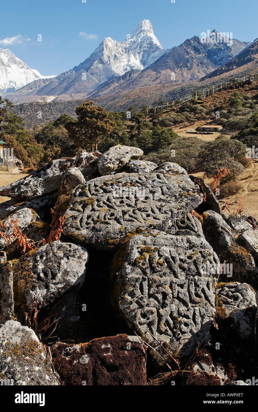 Mani la pietra al monastero di Tengpoche davanti Ama Dablam (6856), il Parco Nazionale di Sagarmatha, Khumbu, in Nepal Foto Stock