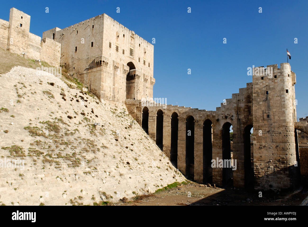 Citadelle di Aleppo, Siria Foto Stock