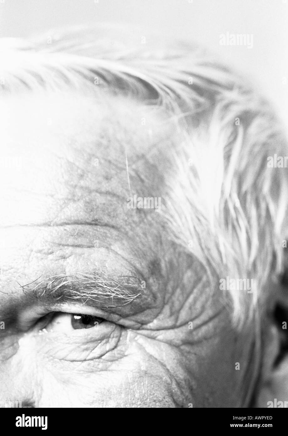 Uomo anziano guardando la telecamera, vista parziale, close-up, b&W Foto Stock