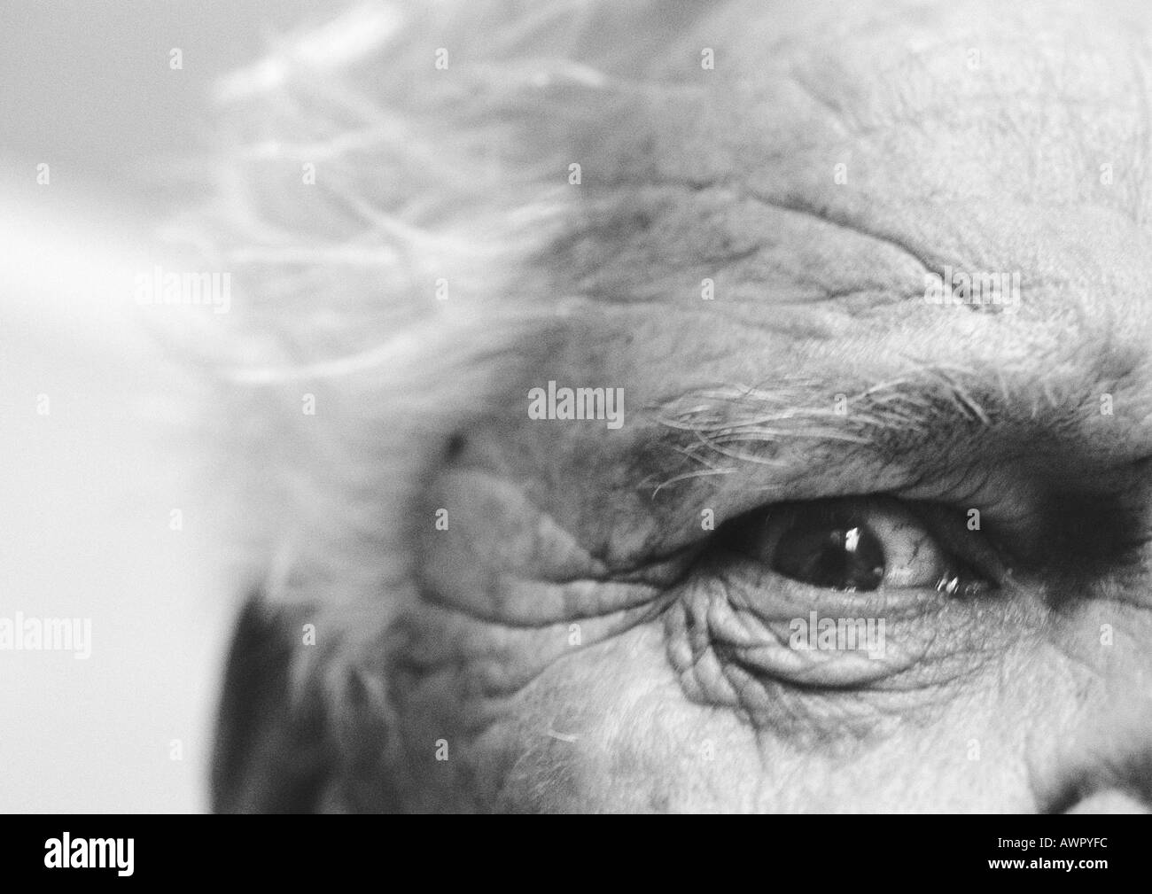 Senior man's eye, extreme close-up, b&W Foto Stock