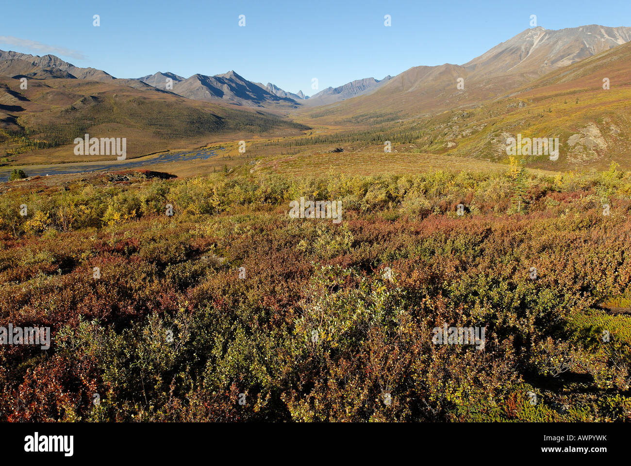 Oggetto contrassegnato per la rimozione definitiva parco territoriale, Dempster Highway, Yukon Territory, Canada Foto Stock