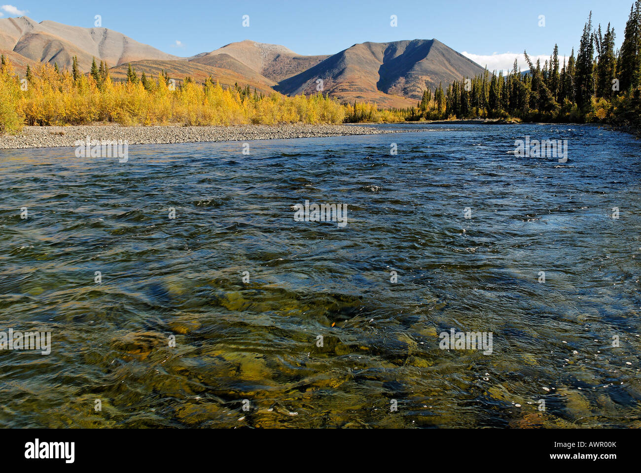 Blackstone River, Dempster Highway, Yukon Territory, Canada Foto Stock
