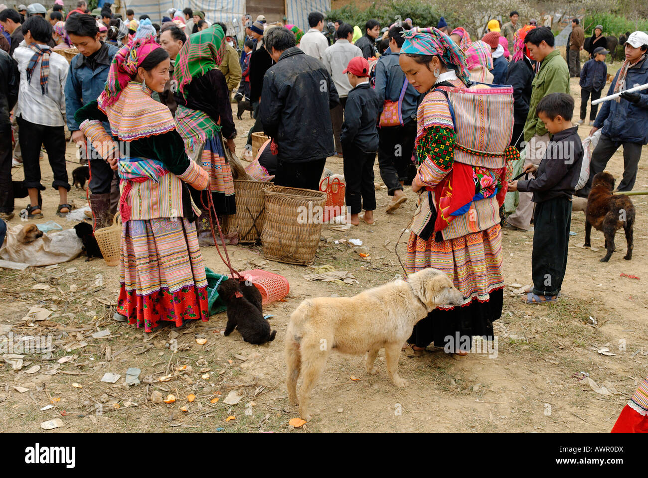 Mercato di animali di Bac ha, Ha Giang provincia, nel Vietnam del nord Foto Stock