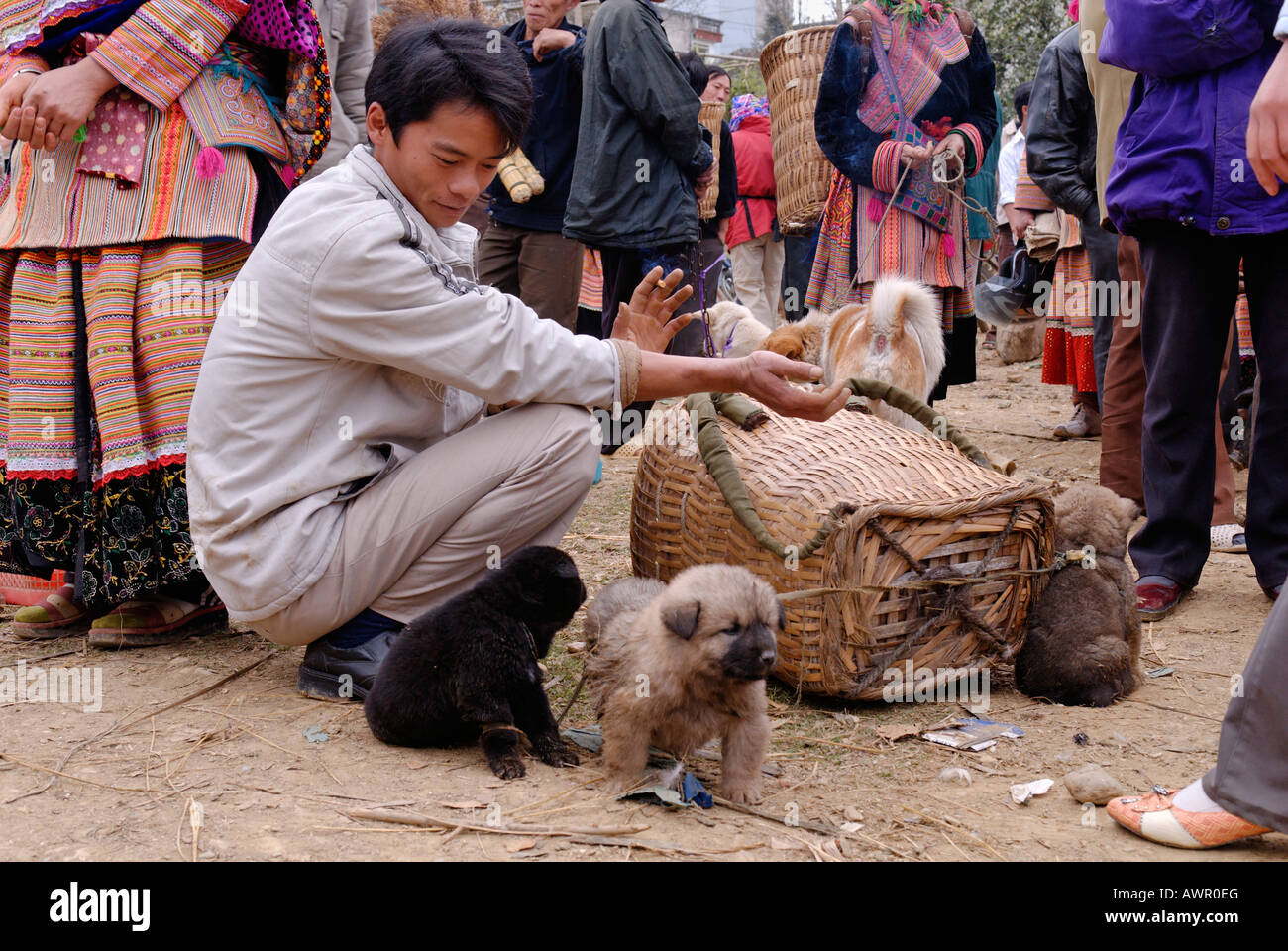 Mercato di animali di Bac ha, Ha Giang provincia, nel Vietnam del nord Foto Stock