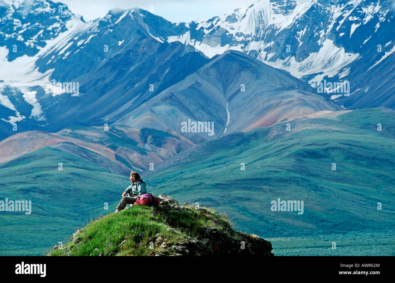 Escursionista in piedi di fronte a l'Alaska Range nel Parco Nazionale di Denali, Alaska, STATI UNITI D'AMERICA Foto Stock