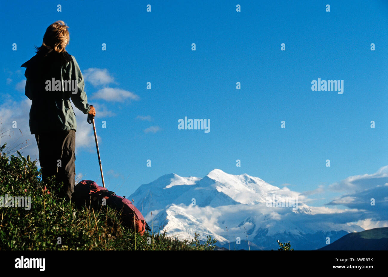 Escursioni a piedi attraverso il Parco Nazionale di Denali, Mt. McKinley in background, Alaska, STATI UNITI D'AMERICA Foto Stock