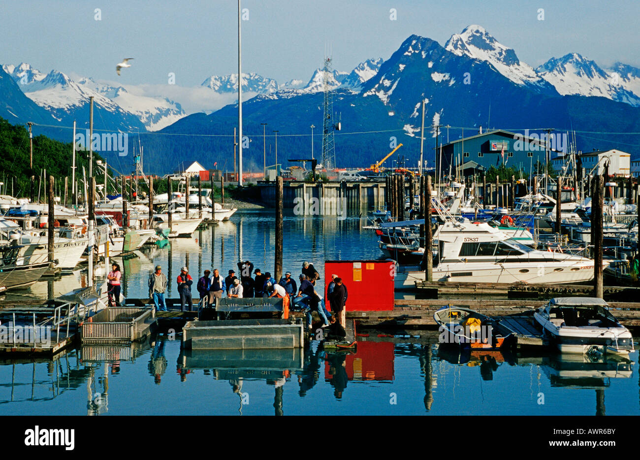 Valdez Harbor, Prince William Sound, Alaska, STATI UNITI D'AMERICA Foto Stock