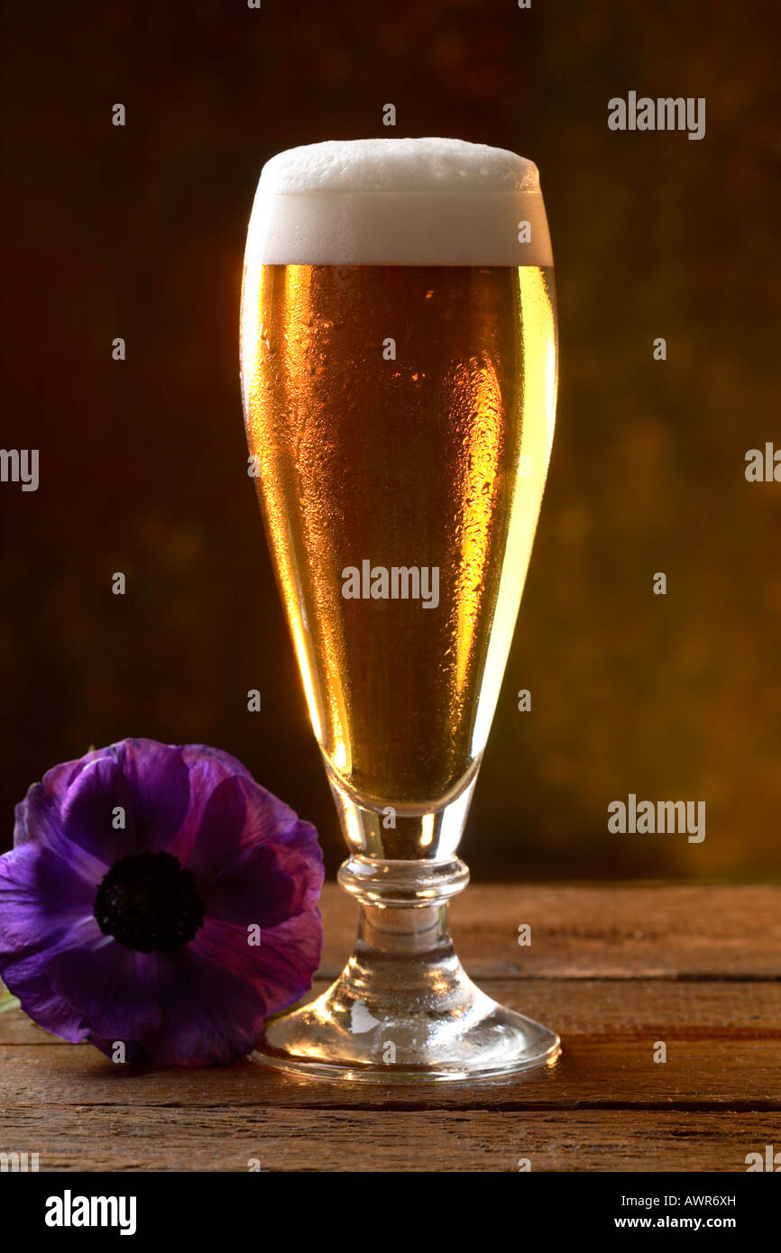 Bicchiere di birra con fiore servita su una tavola di legno Foto Stock