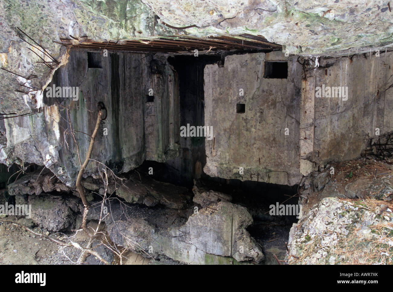 Molotov line , bunker dopo l esplosione , East Roztocze Regione est della Polonia in Europa Foto Stock