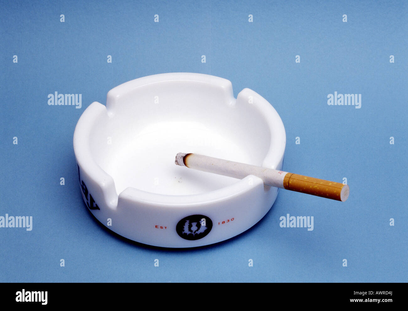 La masterizzazione di sigaretta in un portacenere Foto Stock