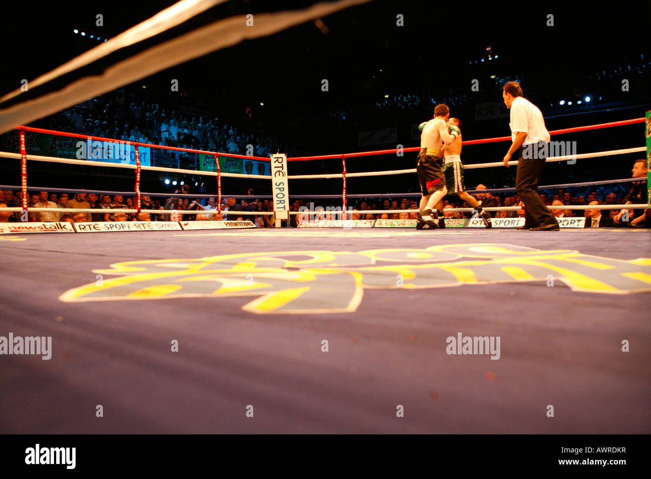 Incontro di boxe che mostra una punzonatura boxer altri sul lato lontano della corona con l'arbitro che guarda. Foto Stock