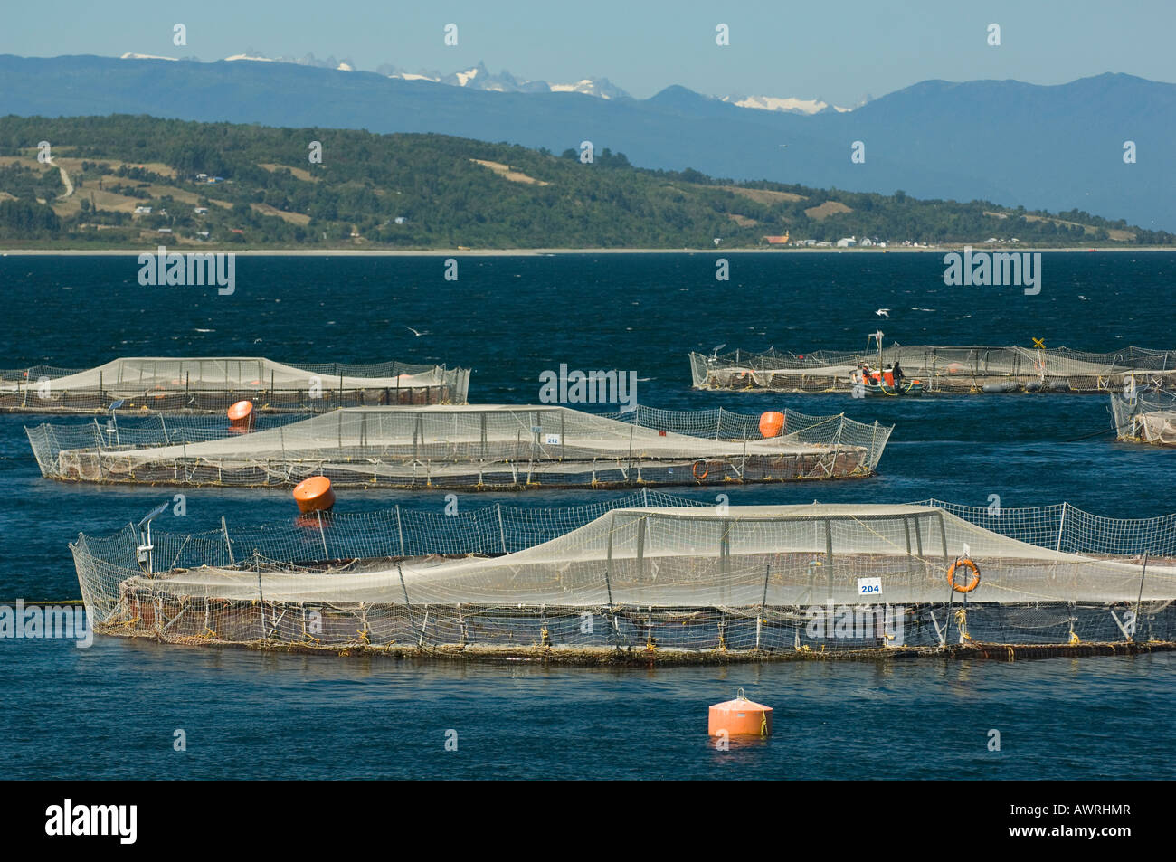 Acquacoltura, allevamento di salmoni, Marine Harvest Ltd. , Vicino a Puerto Montt, Cile Foto Stock
