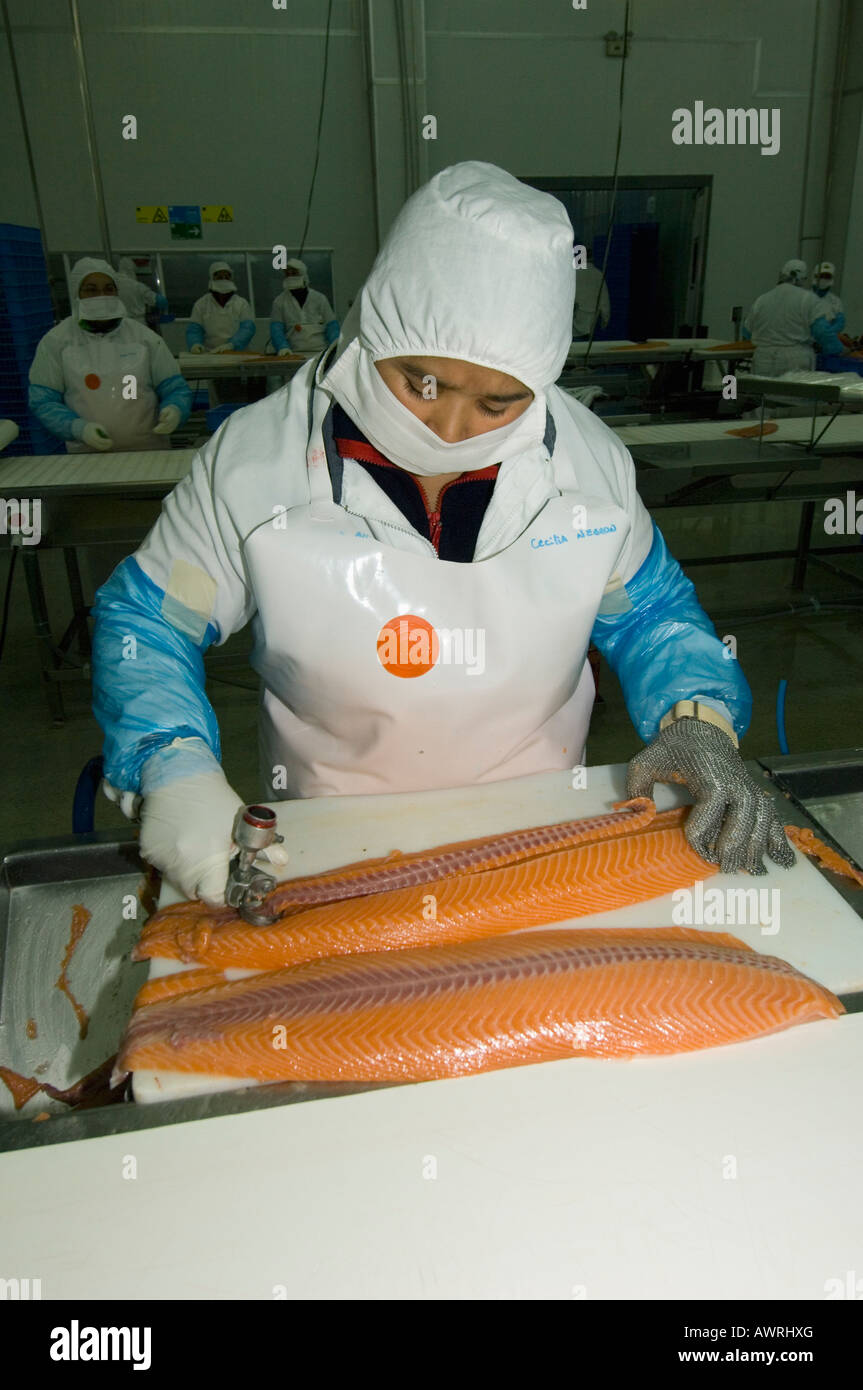 Acquacoltura, fresatura di filetti di salmone nello stabilimento di trasformazione, Marine Harvest, Puerto Montt, Cile Foto Stock