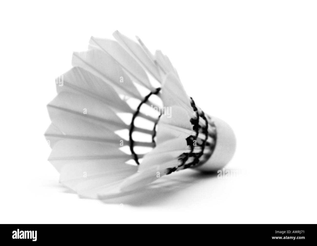 Volano, b&w. Foto Stock