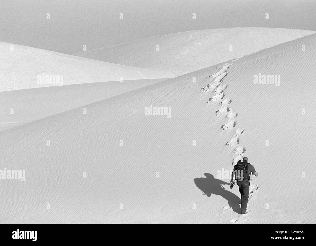 L'uomo escursionismo fino dune di sabbia, vista posteriore, b&W Foto Stock