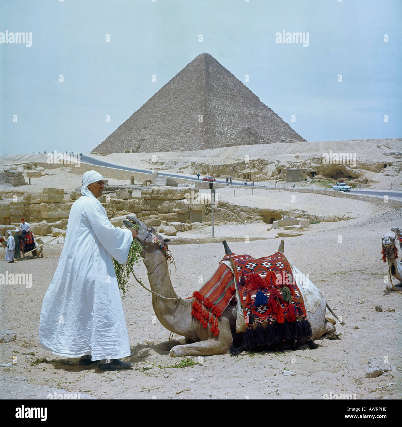 Arab vestita di bianco lungo il cotone fluenti vesti tradizionali con il camel in primo piano e dietro la Piramide di Giza in Egitto nel 1965 Foto Stock