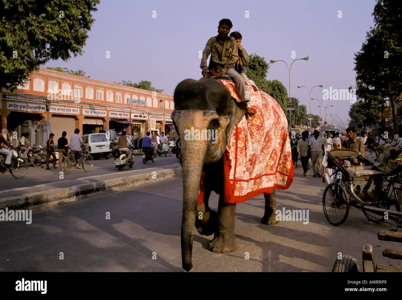 Scena di strada con elefante, due ragazzi di equitazione su un elefante, Jaipur, Rajasthan, India Foto Stock