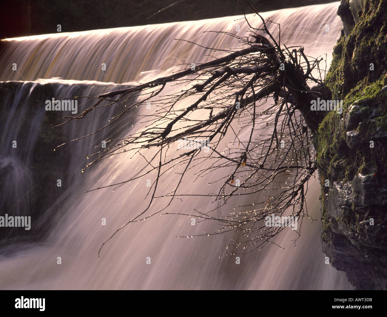 Cascate sul fiume Swale a Richmond North Yorkshire, Inghilterra Foto Stock