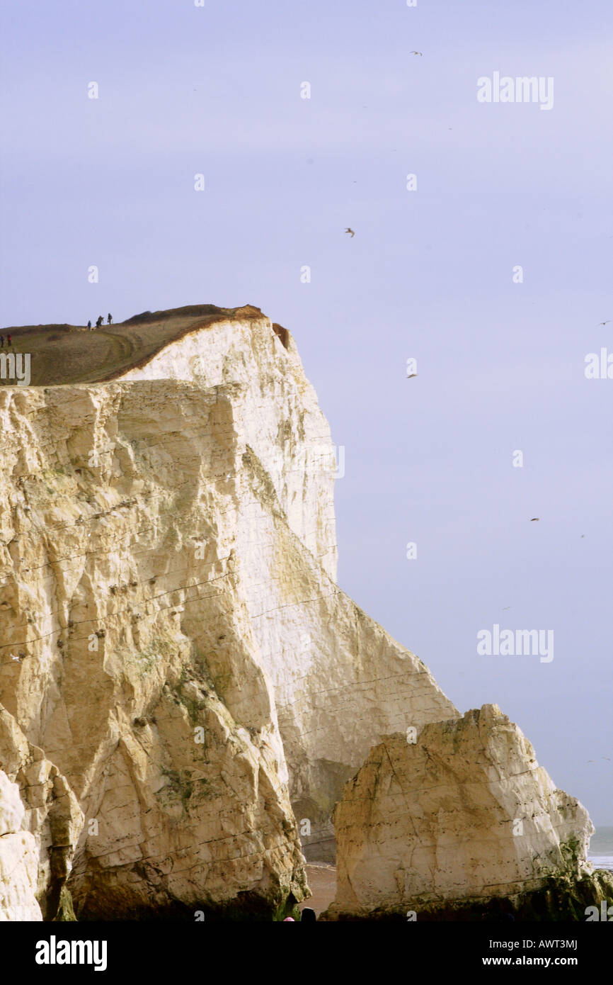 "Walkers sul clifftops a Seaford Testa, Seaford, East Sussex' Foto Stock