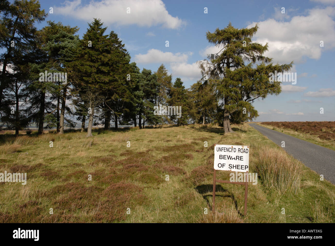 Attenzione di ovini segno su New Scenic 5 posti ma vuota singola via strada, Sheriffmuir. Foto Stock