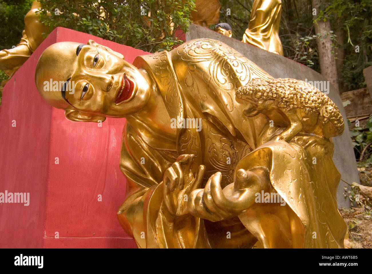 Dh il Monastero dei Diecimila Buddha SHATIN HONG KONG Golden statua del Buddha e rana sul monastero tempio cinese percorso di figura Foto Stock