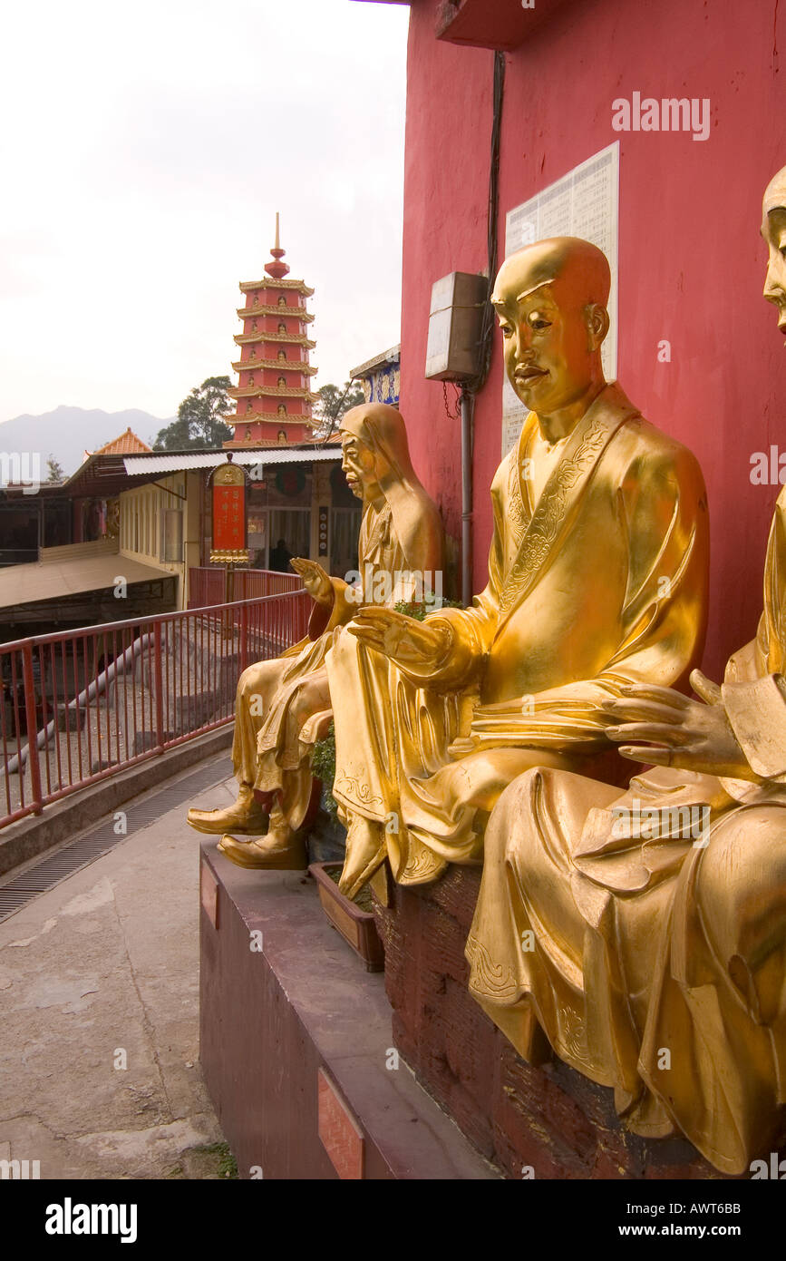 Dh il Monastero dei Diecimila Buddha SHATIN HONG KONG Golden Statue di Buddha lato del tempio del monastero e la pagoda cinese Foto Stock