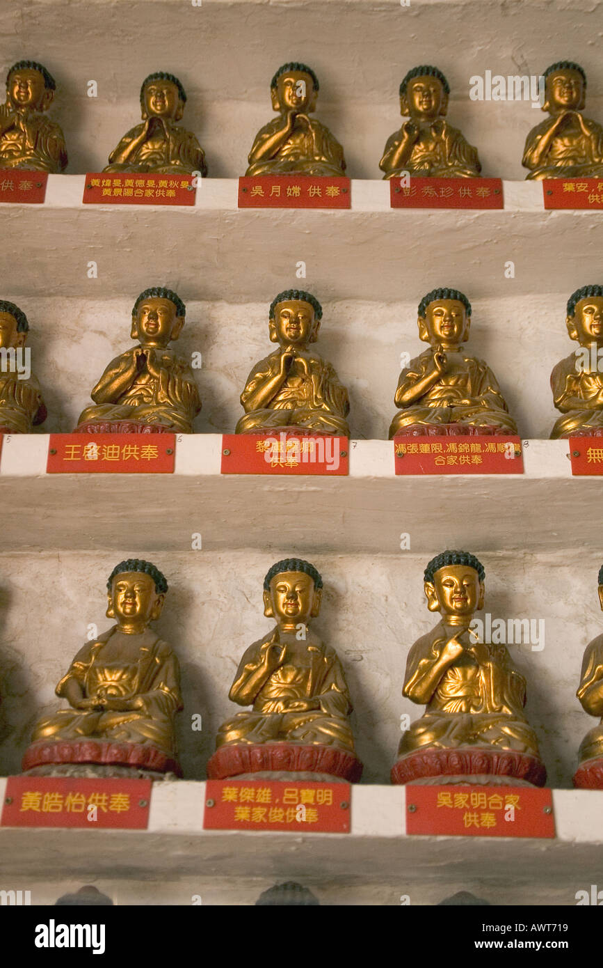 Dh il Monastero dei Diecimila Buddha SHATIN HONG KONG righe di piccole statue di Buddha sulla parete selved tempio interno statua del Buddha Foto Stock