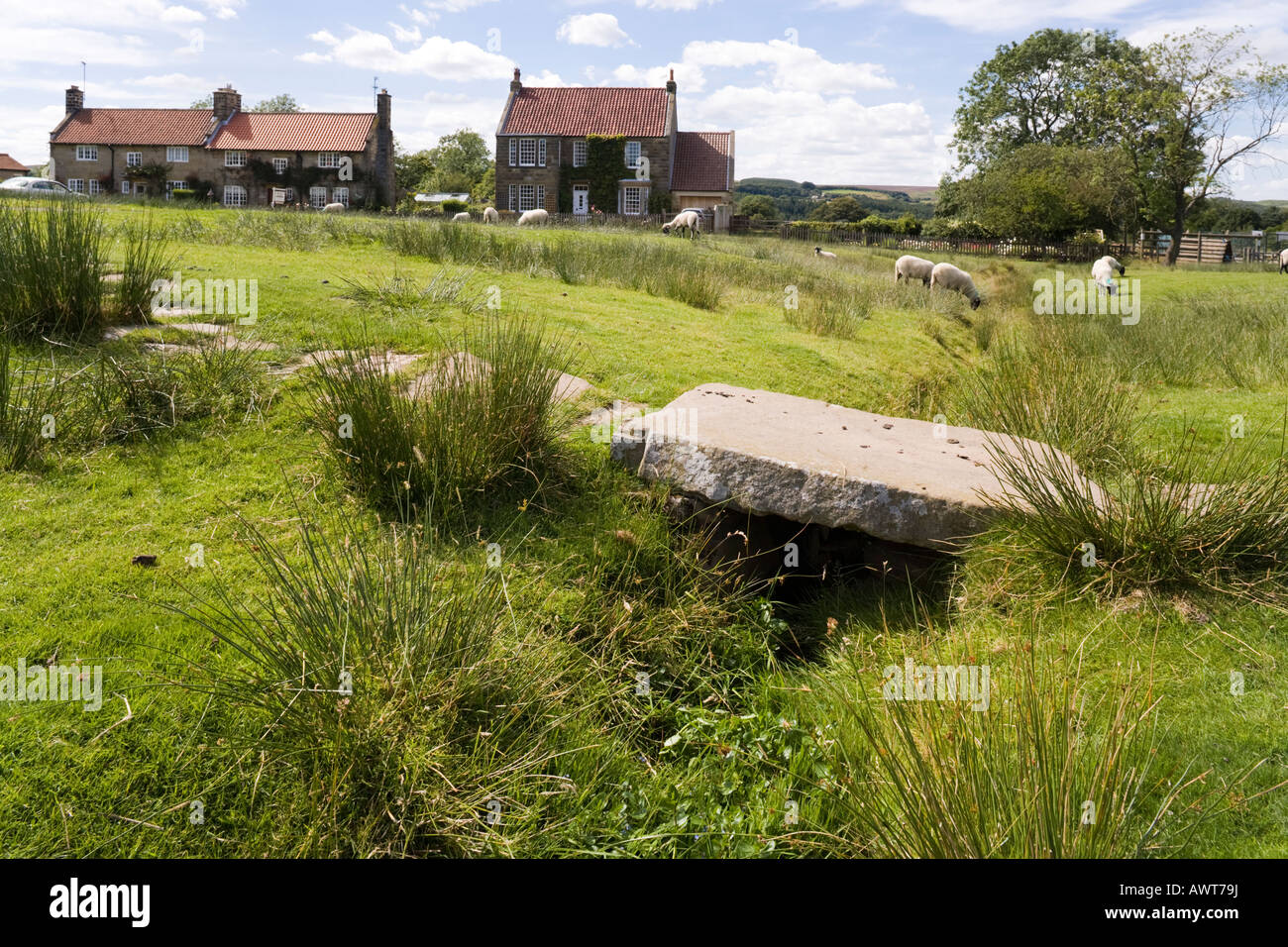 Il villaggio verde a Goathland (Aidensfield nello Yorkshire serie TV Heartbeat), North Yorkshire Foto Stock