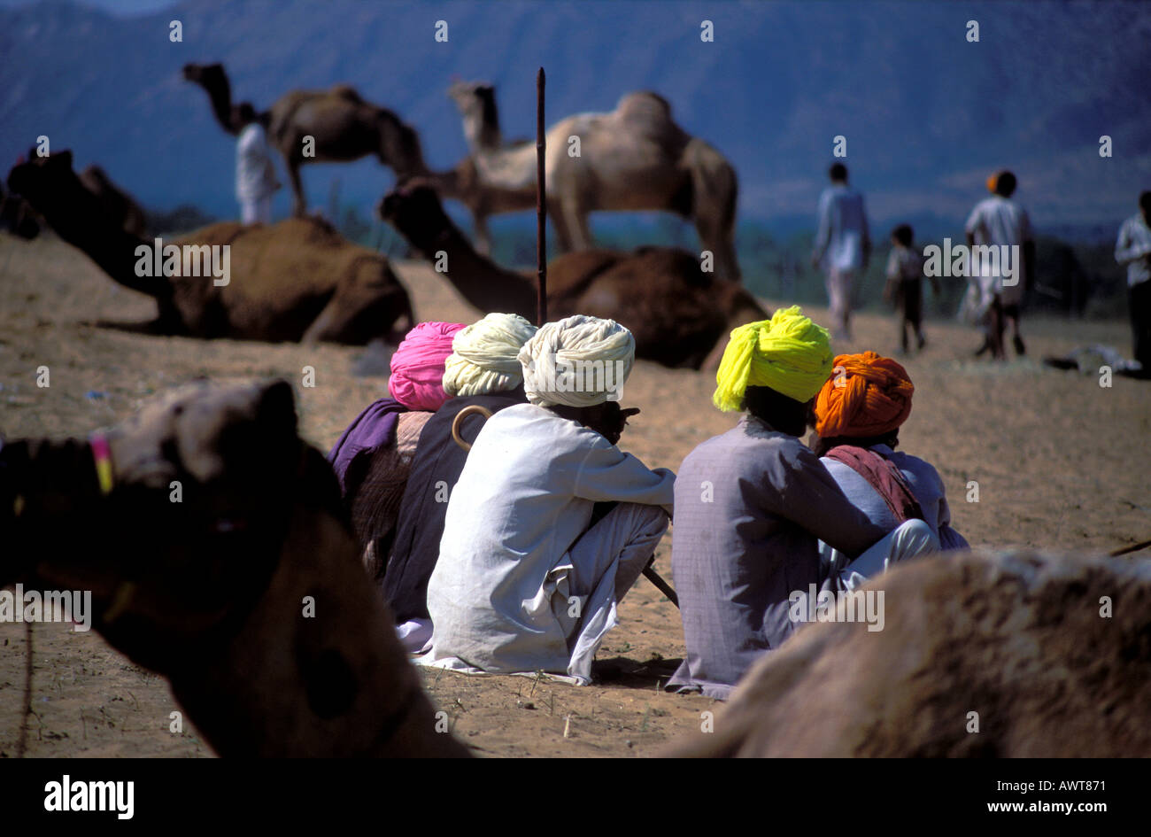 Gli uomini di Rajasthani indossando variopinti turbanti al Camel terreno fieristico in Pushkar che risiede nel deserto di Thar Rajasthan in India Foto Stock