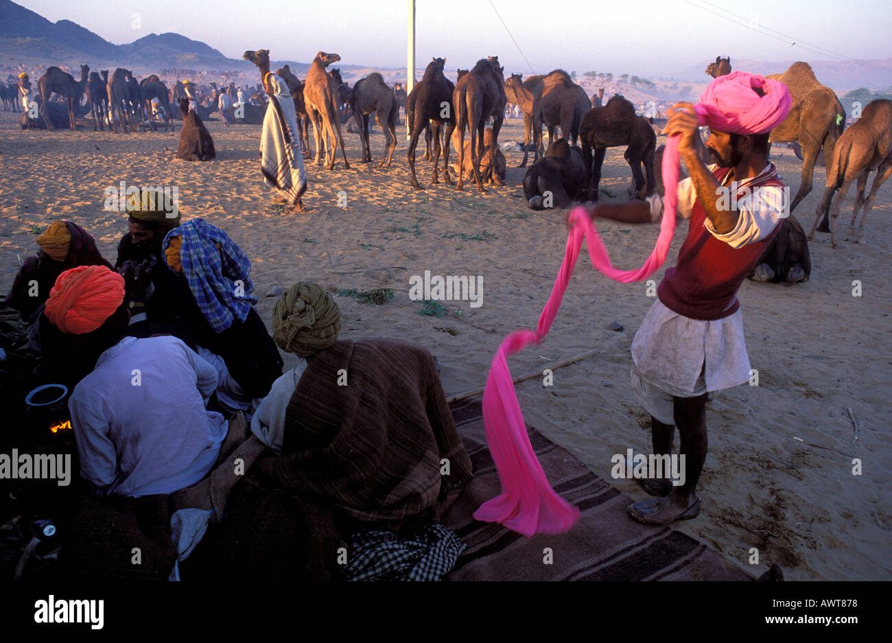 Uomo di Rajasthani che indossa un turbante rosa sulla sua testa Pushkar fiera del cammello nel deserto di Thar Rajasthan in India Foto Stock