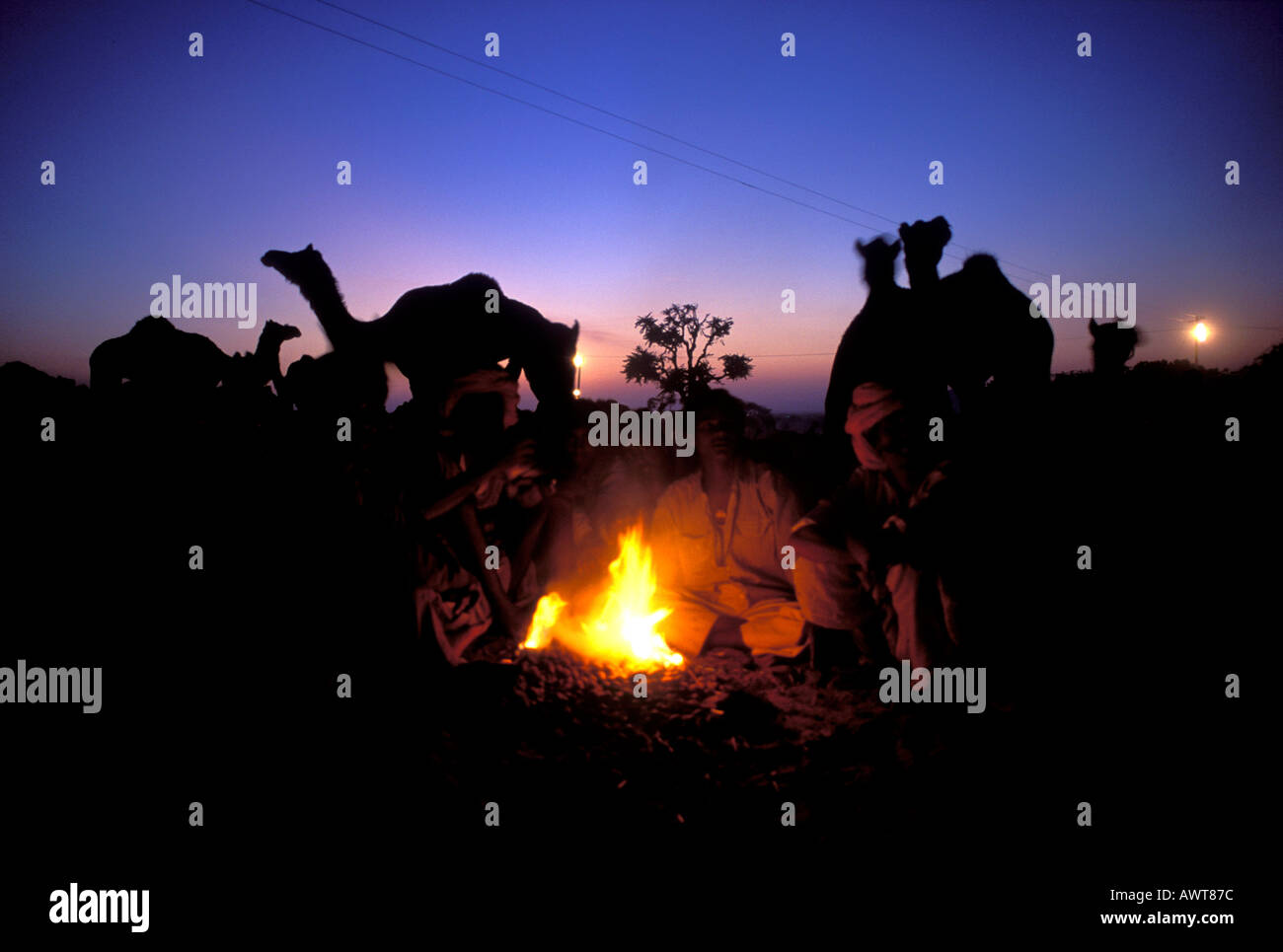 Rajasthani uomini seduti attorno a un fuoco durante il Pushkar fiera del cammello nel deserto di Thar Rajasthan in India Foto Stock