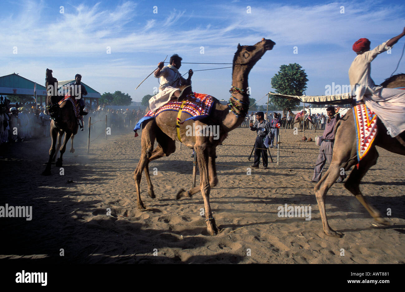 Camel racing durante il Pushkar fiera del cammello nel deserto di Thar Rajasthan in India Foto Stock