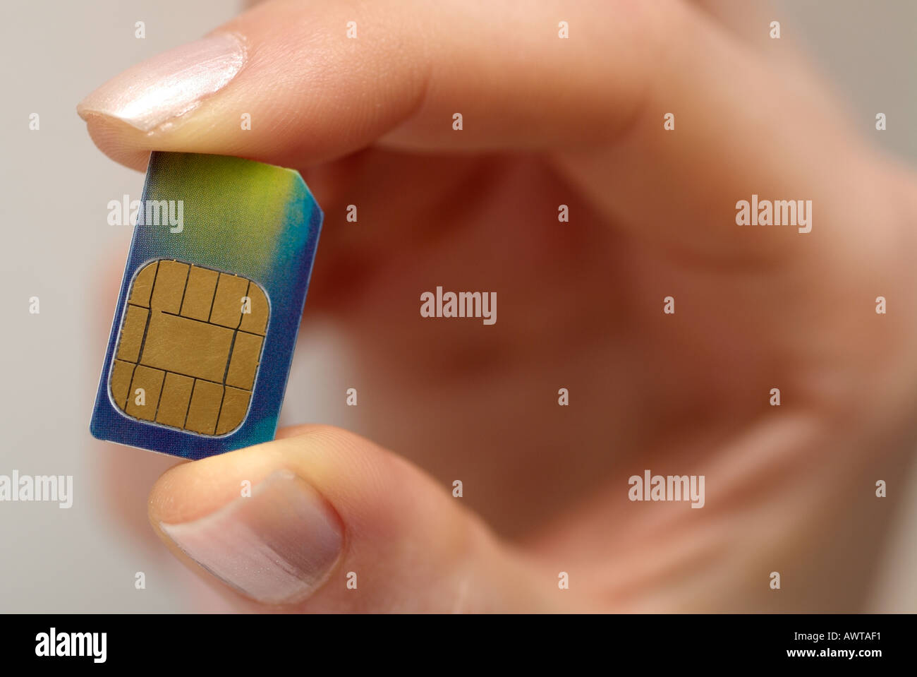 Mobile Phone SIM Card trattenuto tra le dita di una femmina Foto Stock