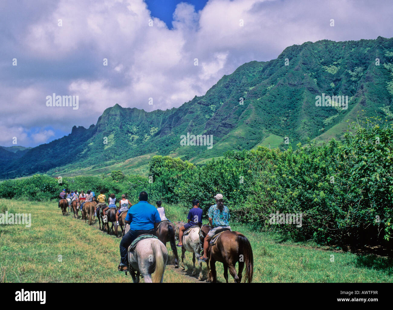 Horse riders tour Kaaawa Valley a Kualoa Ranch di Oahu Foto Stock