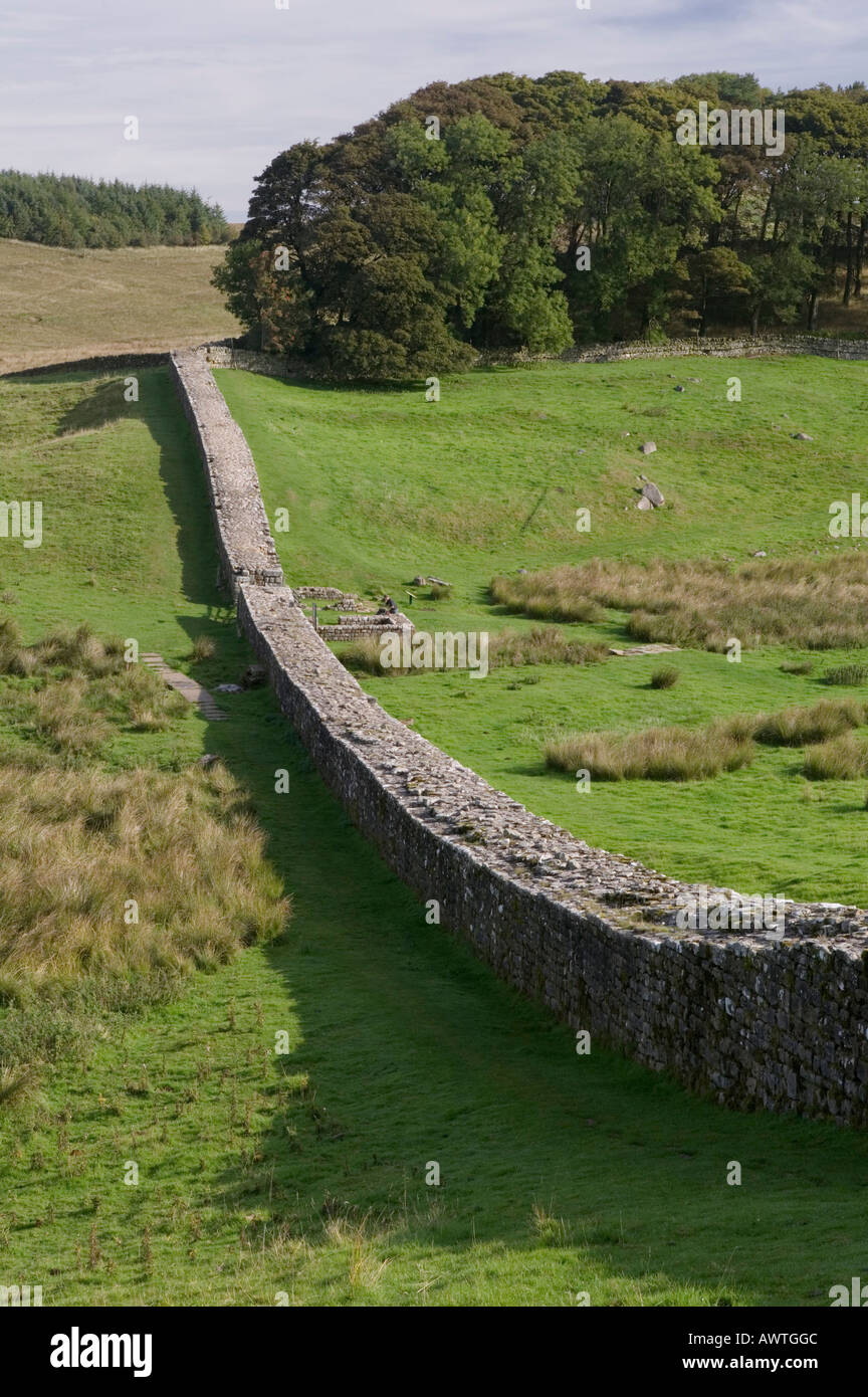 Vicino Housteads sulla parete di Adriano, Northumberland, Inghilterra Foto Stock