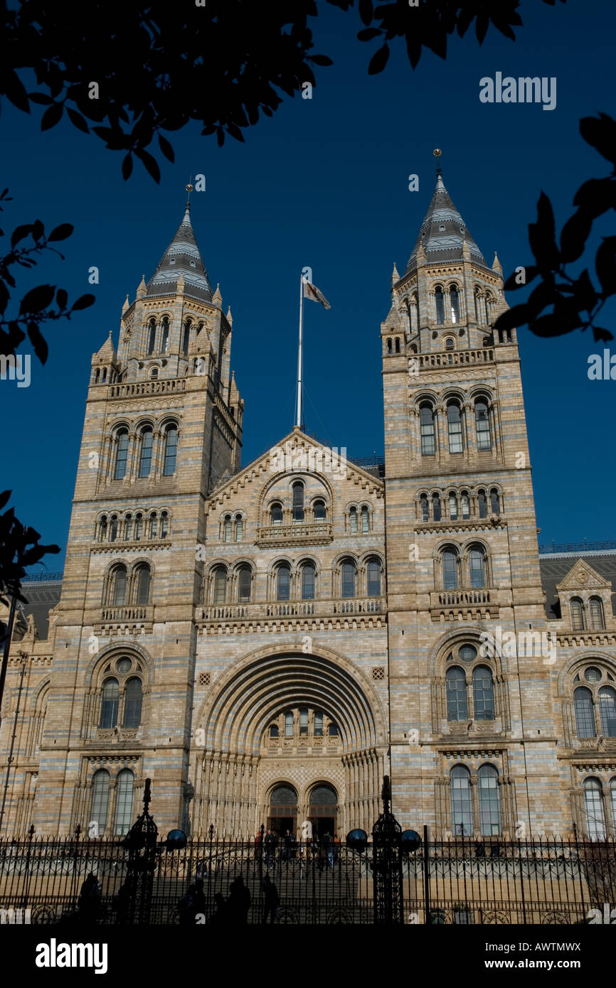 Museo di Storia naturale di South Kensington, London, Regno Unito Foto Stock