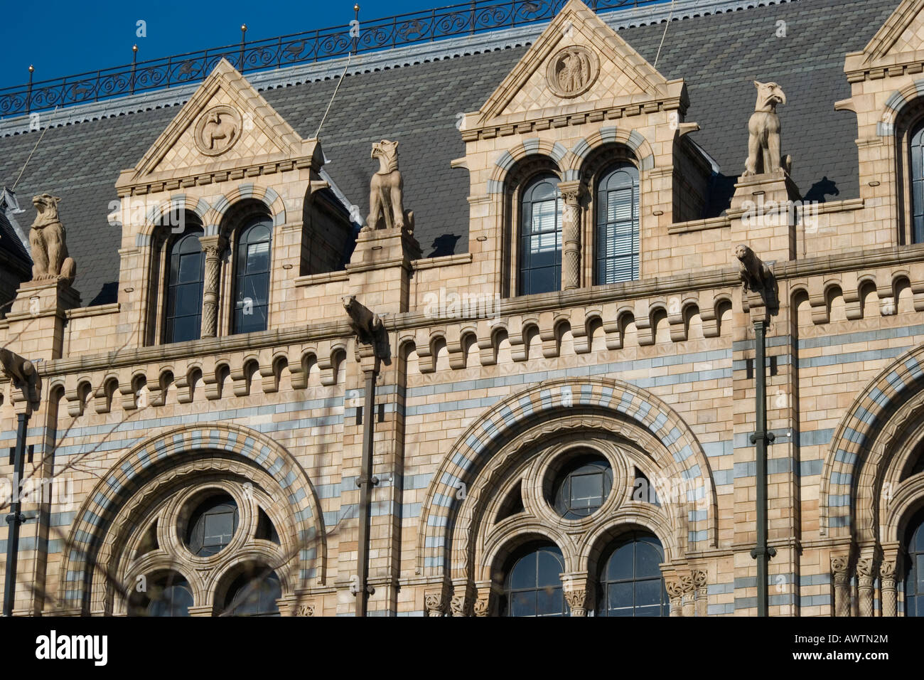 Museo di Storia naturale di South Kensington, London, Regno Unito Foto Stock