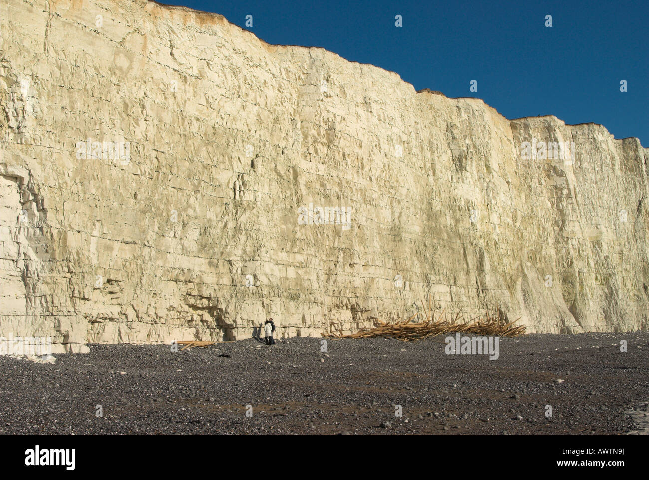 Chalk scogliere a Birling gap tra Eastbourne e Seaford sulla East Sussex costa. Foto Stock