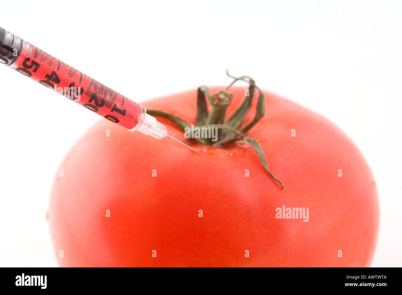 Il pomodoro con una siringa alimenti geneticamente modificati Foto Stock