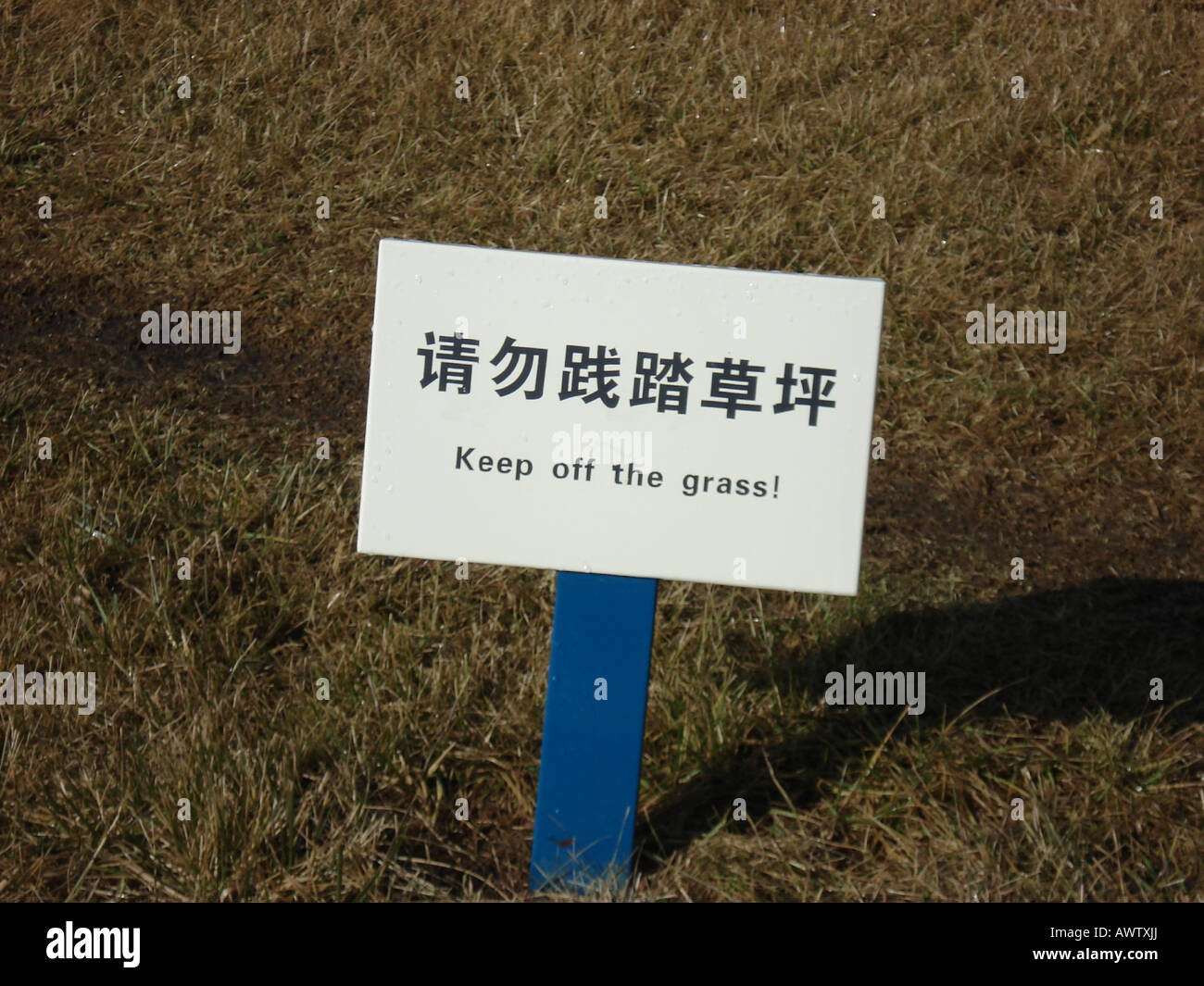 Un segno in Cina dicendo tenere fuori l'erba in inglese e cinese Foto Stock